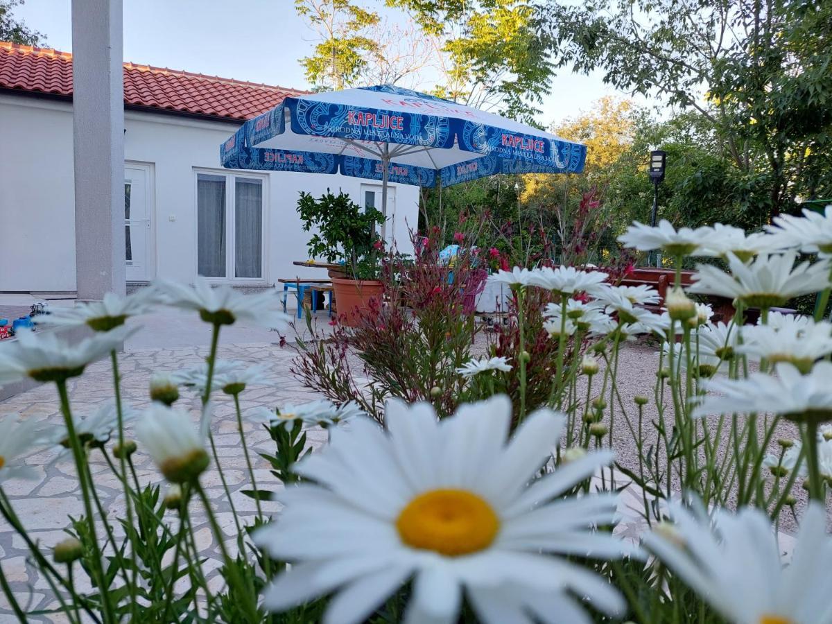 Ferienwohnung La Vie Krk Krk Town Exterior foto